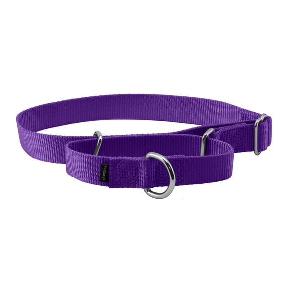 PetSafe Martingale Dog Collar, Greater control and reduce the risk of slipping out, Large, 1 in, Deep Purple