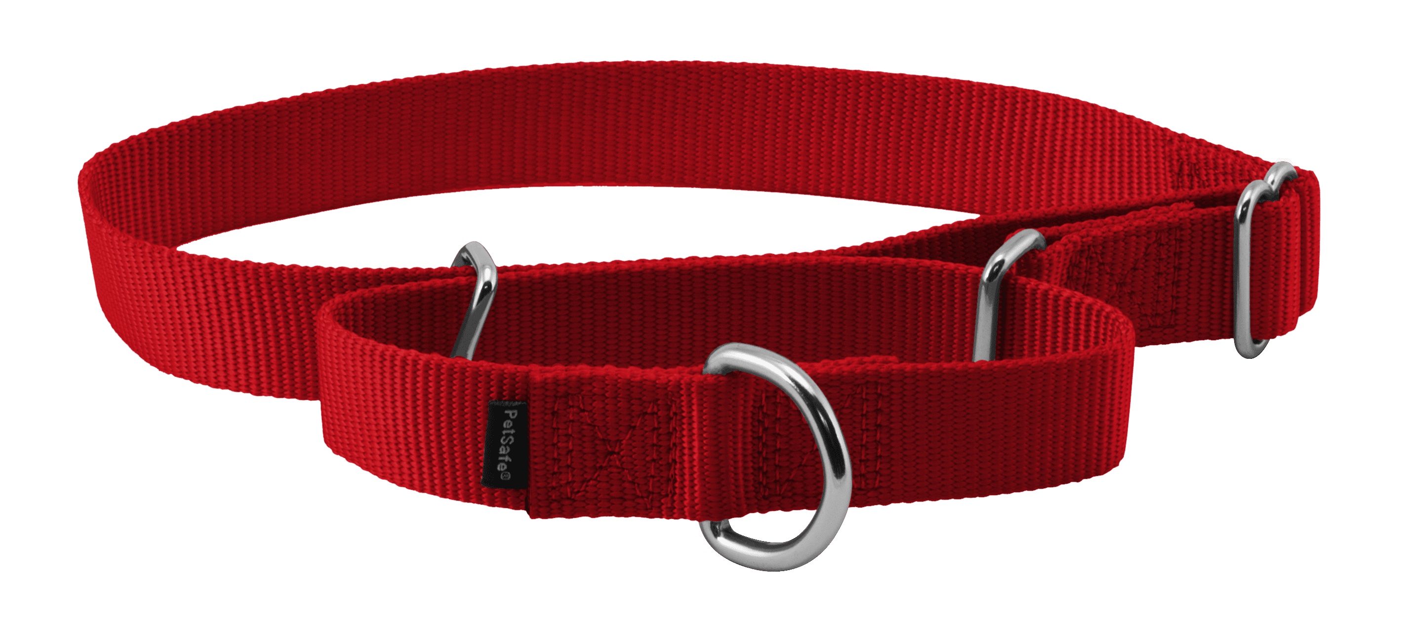 Petsafe premier quick snap martingale dog collar 2025