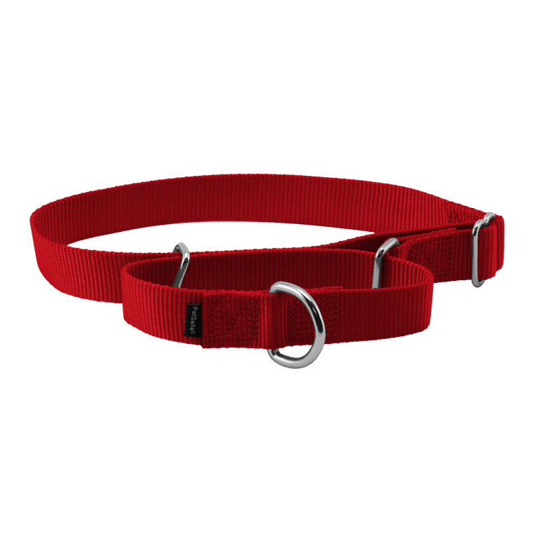 Petsafe collar outlet prongs