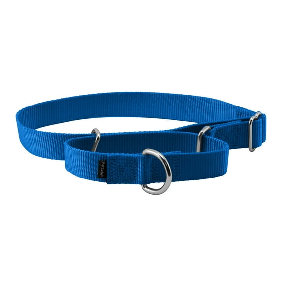 PetSafe Martingale Dog Collar, Greater control and reduce the risk of slipping out, Large, 1 in, Royal