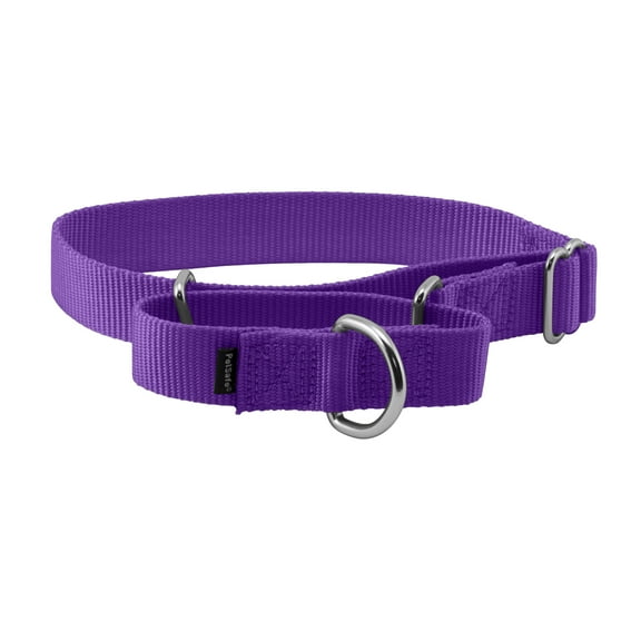 PetSafe Martingale Dog Collar, Greater control & reduce risk of slipping out, Medium, 1 in, Purple