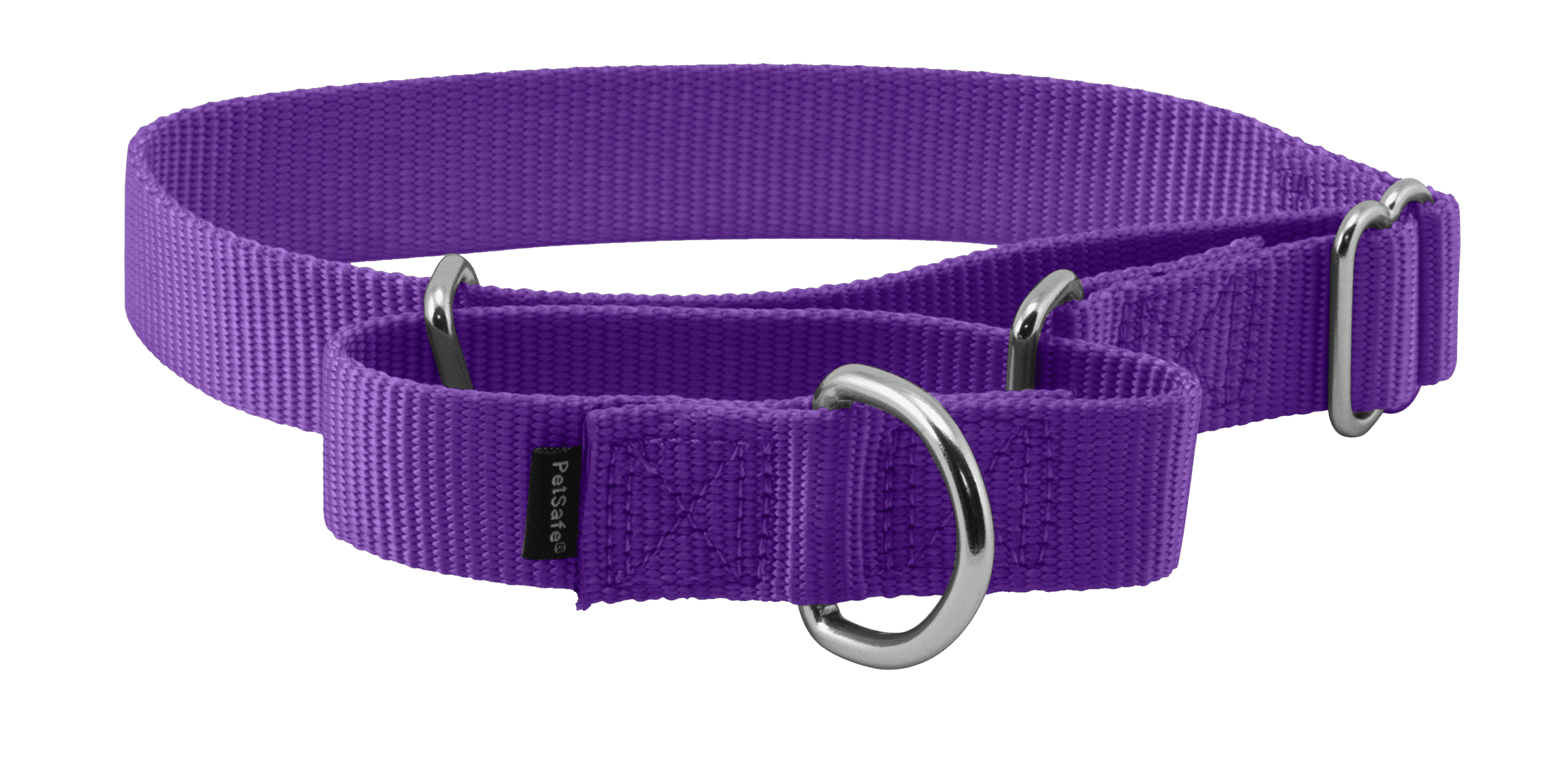 PetSafe Martingale Dog Collar, Medium, 1 in, Deep Purple