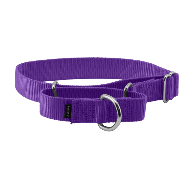 PetSafe Martingale Dog Collar, Medium, 1 in, Deep Purple