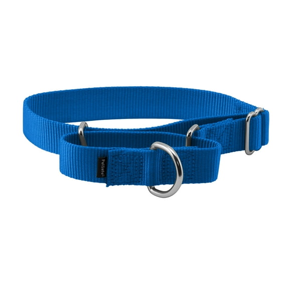 PetSafe Martingale Dog Collar, Greater control and reduce the risk of slipping out, Medium, 1 in, Royal