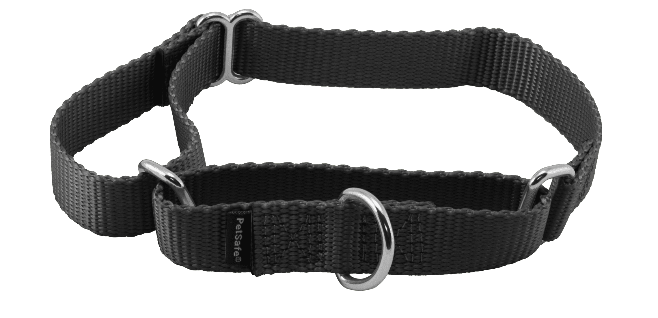 Frisco martingale dog collar hotsell