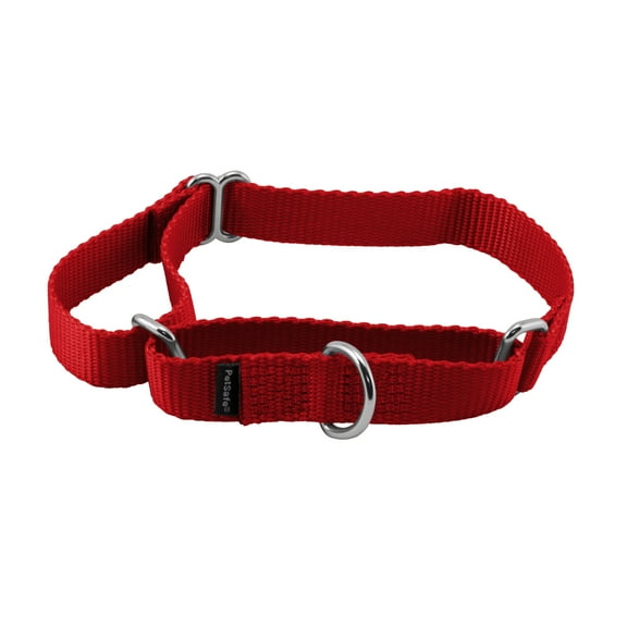 PetSafe Martingale Dog Collar  Medium, 3/4 Inch, Red