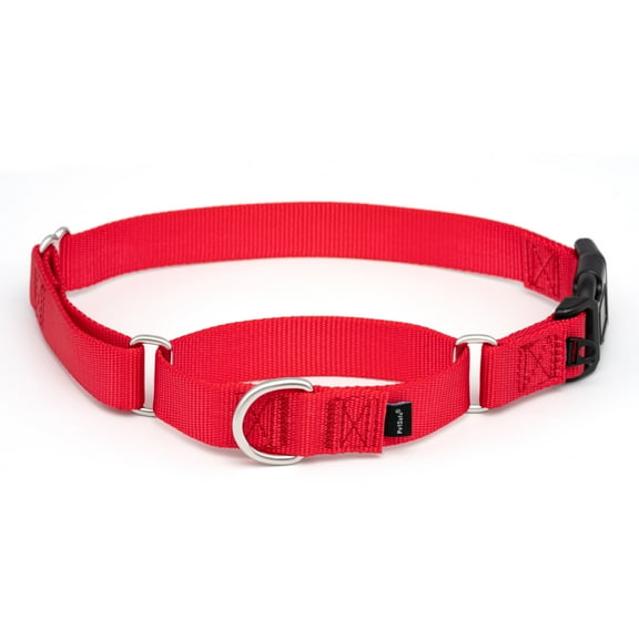 PetSafe Martingale Dog Collar, Quick-Snap Buckle, 1 Inch Width, Medium, Red