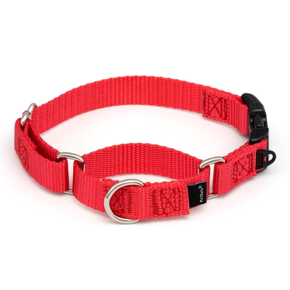 PetSafe Martingale Dog Collar, Quick-Snap Buckle, 3/4 Inch Width, Small, Red