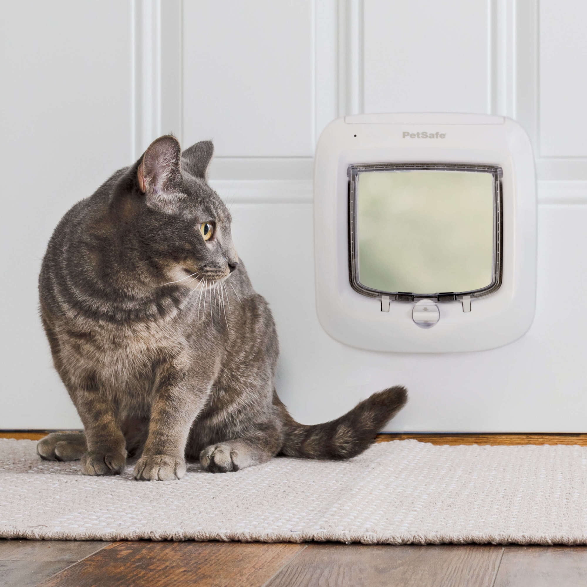 Image showcasing PetSafe Microchip RFID Cat Door, 4-Way Locking - Walmart.com