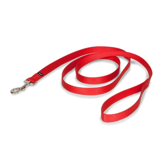 PetSafe Nylon Dog Leash, Durable, Easy to Use Bolt Snap, 6 ft x 3/4 in, Red