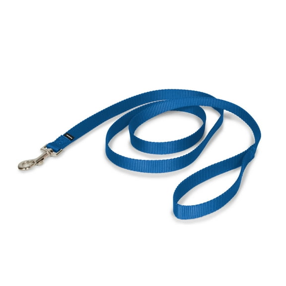 PetSafe Nylon Dog Leash, Durable, Includes Easy to Use Bolt Snap, 6 ft x 3/4 in, Royal Blue