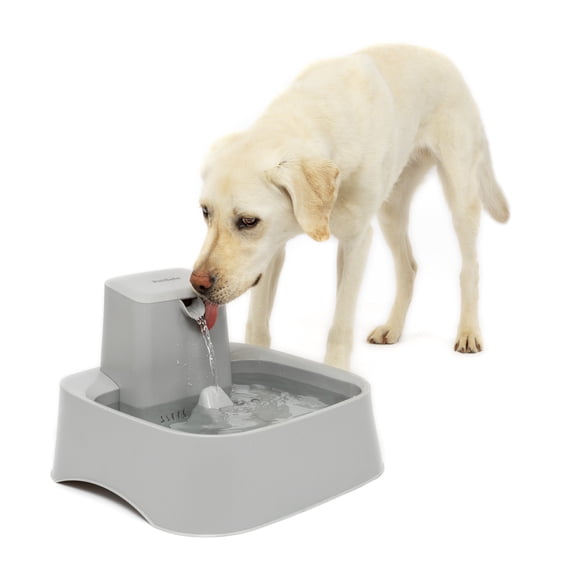 PetSafe Oasys 2 Gallon Pet Fountain, Adjustable Flow Control, Fresh, Filtered Water