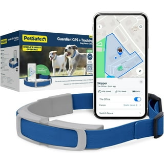 Dog tracker walmart online