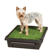PetSafe Pet Loo Portable Dog Potty, Plastic Pet Toilet Alternative for Puppy Pads, House Training, S