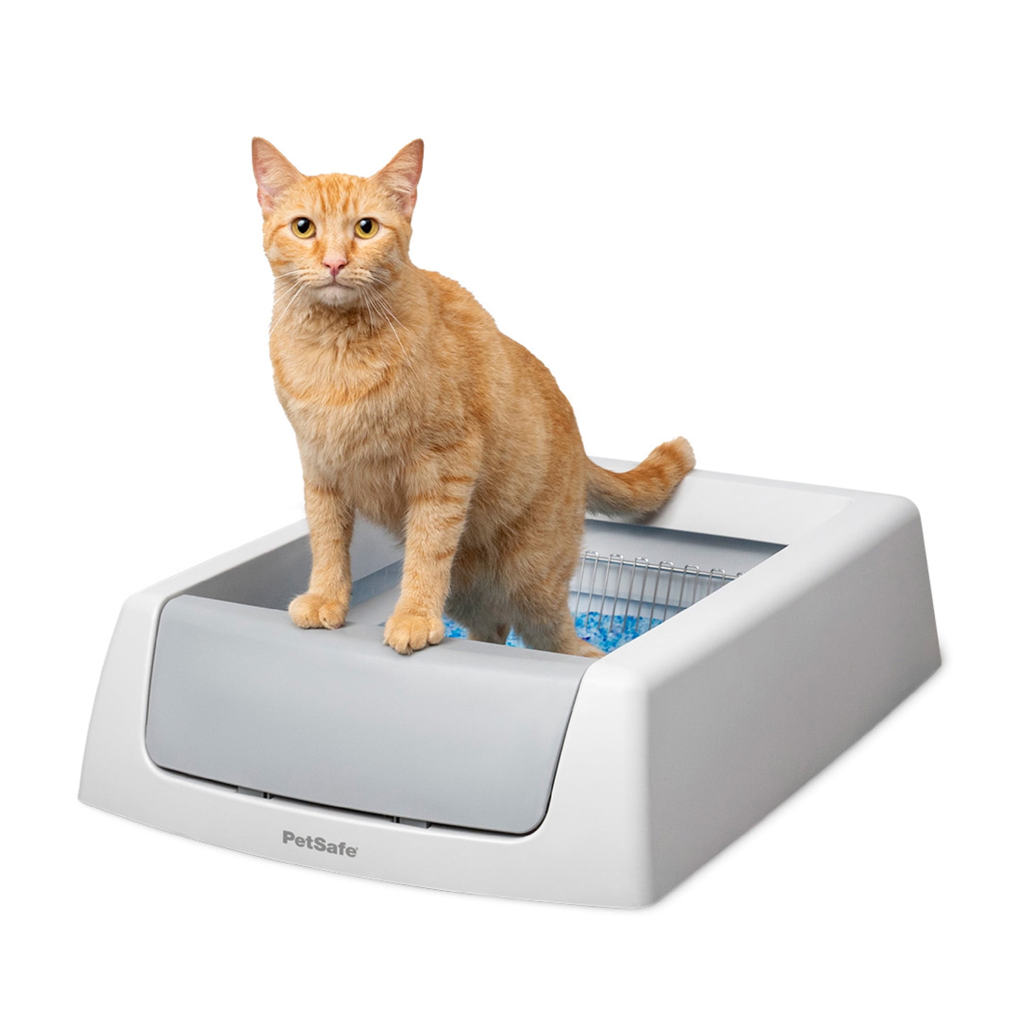 Free Shipping! PetSafe ScoopFree Crystal Classic Self-Cleaning Cat