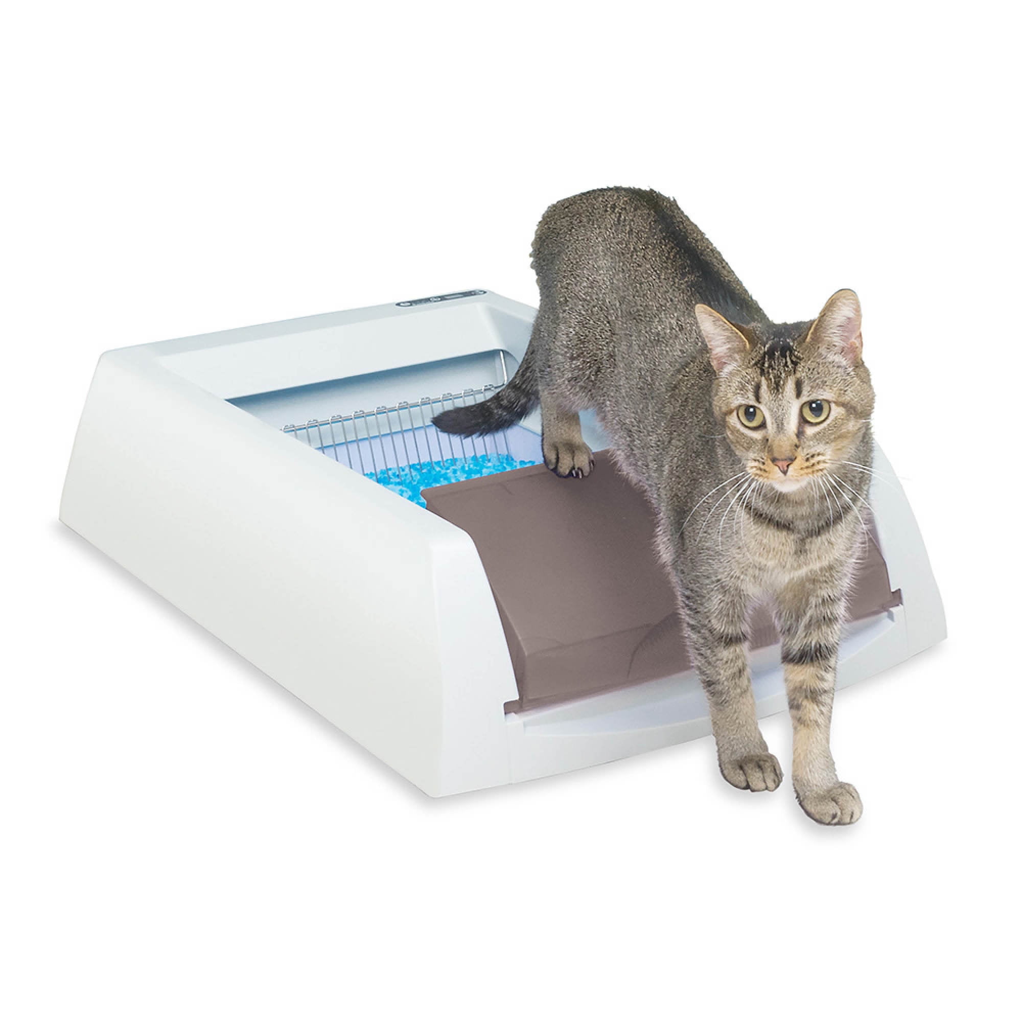 PetSafe ScoopFree Crystal Pro SelfCleaning Litter Box Cleaning