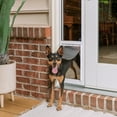 thumbnail image 1 of PetSafe Sliding Glass Cat and Dog Door, Rental Friendly, Medium, 1 of 8