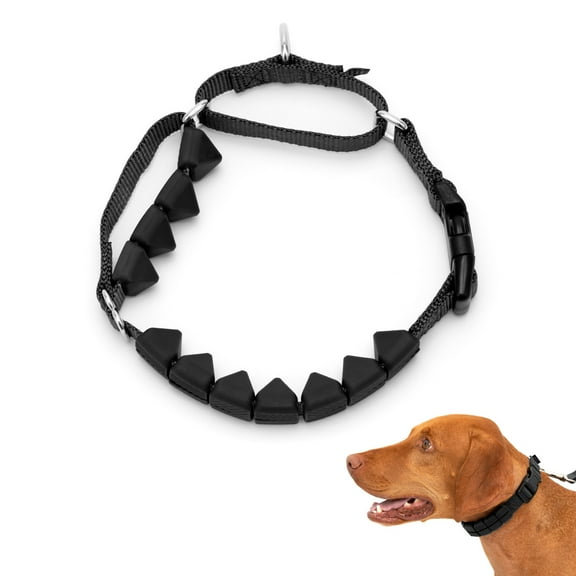 PetSafe Soft Rubber Point Training Collarfor Dog, Medium, 3/4 in, Black