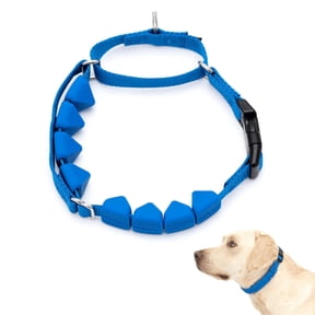 PetSafe Soft Point Training Collar, No Pull Training Collar for Dogs, Rubber Soft Points, Large, 1 in, Royal Blue