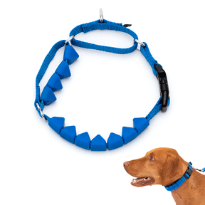 PetSafe Soft Point Training Collar, No Pull Training Collar for Dogs, Rubber Soft Points, Medium, 3/4 in, Royal Blue