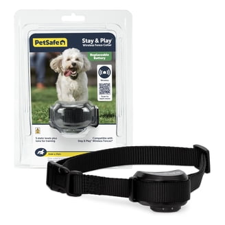 in ground fence batteries for dog collars invisible fence
