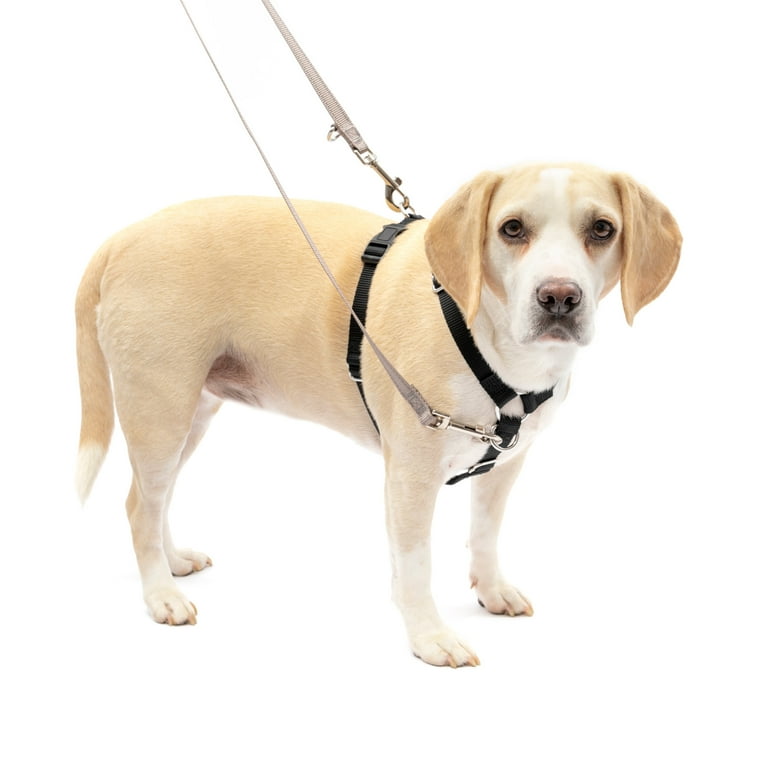 Easy On Nylon Dog Harness - Optional Personalized Buckle