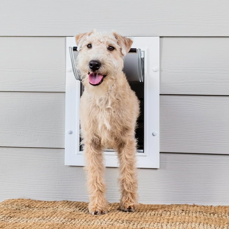 Petsafe dog door hotsell