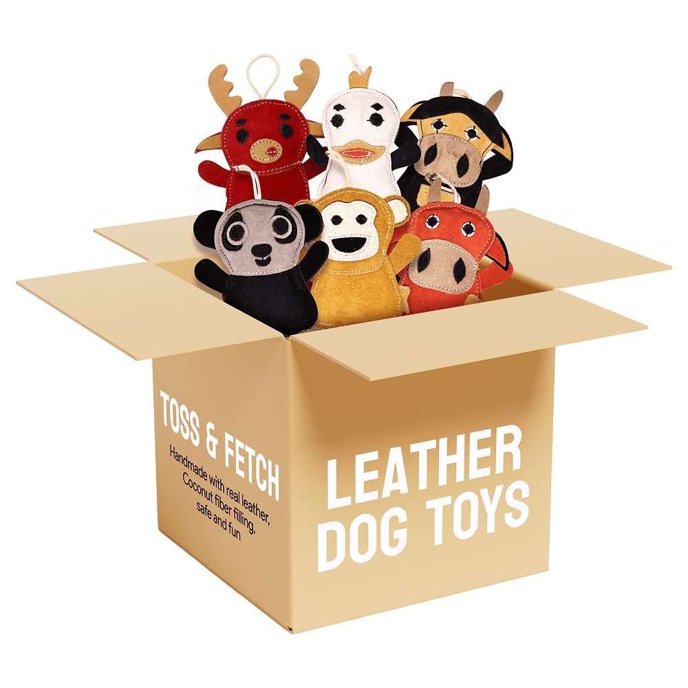 PetYupp 6 Assorted Leather Dog Toys for Small Dogs & Puppies – Natural Leather Chew Toys w/Coconut Fiber Filling & Jute Rope – Eco-Friendly, Non-Toxic, Durable Play Set for Teething & Light Chewers