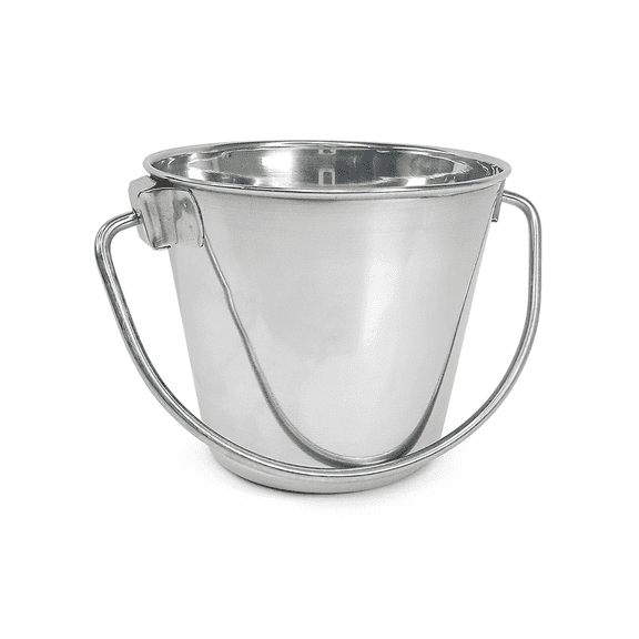 PetYupp Heavy Duty Stainless Steel Pail - 1 Quart Small Round Pet Food/Water Bucket with Handle