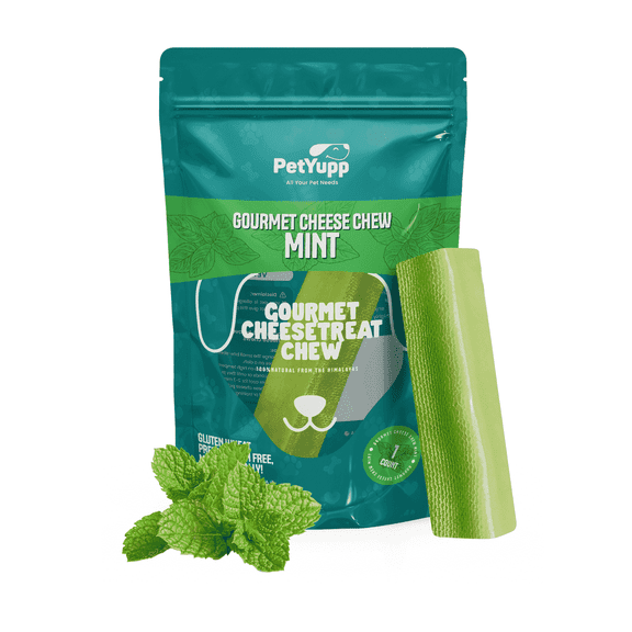 PetYupp Yak Cheese Dog Chew, Mint Flavor, Large, Long Lasting, Rawhide-Free, 1 Count