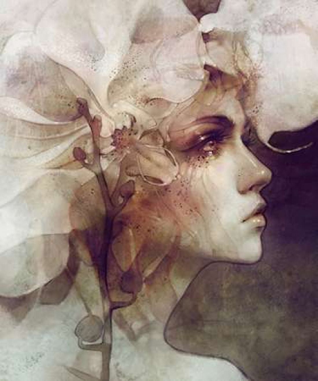 Petal Canvas Art - Anna Dittman (20 x 24)