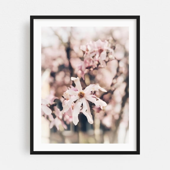 Petals of Tranquility - Photography Flowers Cherry Blossoms Floral Nature Botanical Pastel Garden Black Framed Wall Art Print 12 x 16 inches