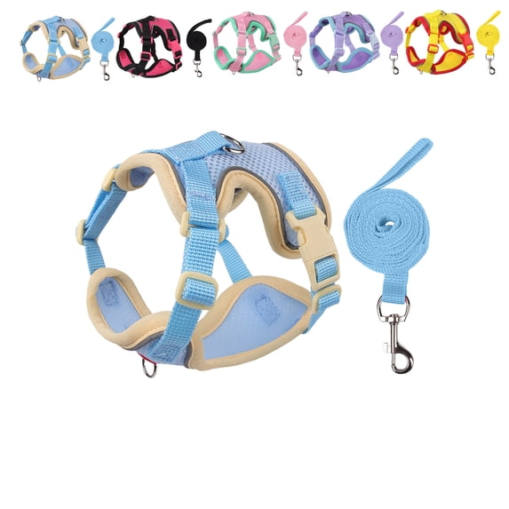 Petank Dog Harness for Small Medium Dogs No Pull, Puppy Harness and Leash Set,Step in Dog Harness for Walking, Running, Training, Small Dog Vest(Light Blue)
