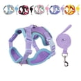 thumbnail image 1 of Petank Dog Harness for Small Medium Dogs No Pull, Puppy Harness and Leash Set,Step in Dog Harness for Walking, Running, Training, Small Dog Vest(Purple), 1 of 7