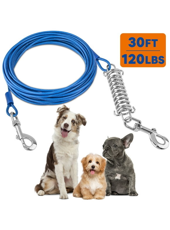 Dog Leashes in Dog Collars, Leashes, and Harnesses