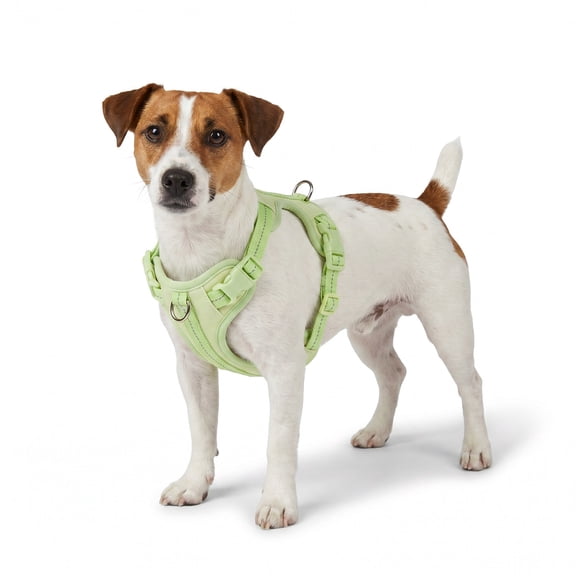 Petco Glow in the Dark Dog Harness X-Large