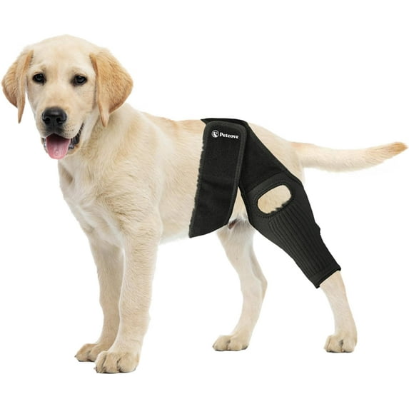 Petcove Small Dog Knee Brace for Torn ACL & Luxating Patella – Hind Leg Support for Rear Leg Injuries