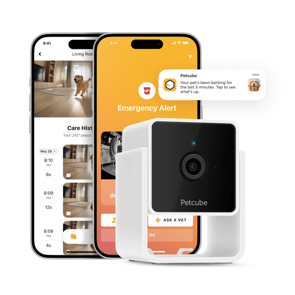 Petcube Cam Wifi Pet Camera for Cat and Dog with App, Home Surveillance, Subscription Not Included