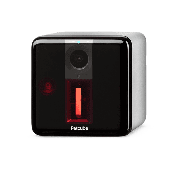 Petcube Interactive Pet Camera Toy with Laser, Matte Silver
