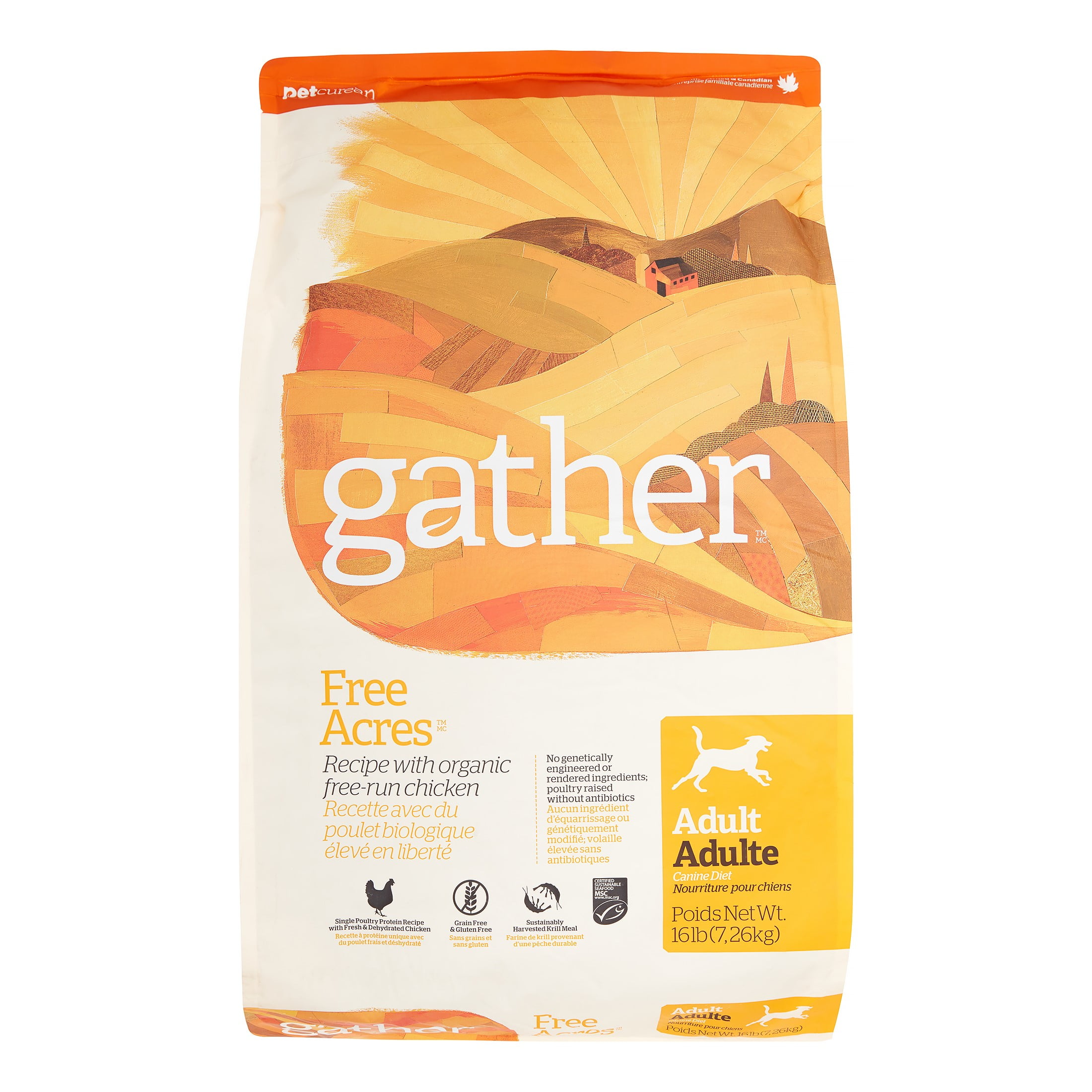 Gather top dog food