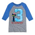 thumbnail image 1 of Pete The Cat - 3rd Birthday - Toddler and Youth Raglan, 1 of 1