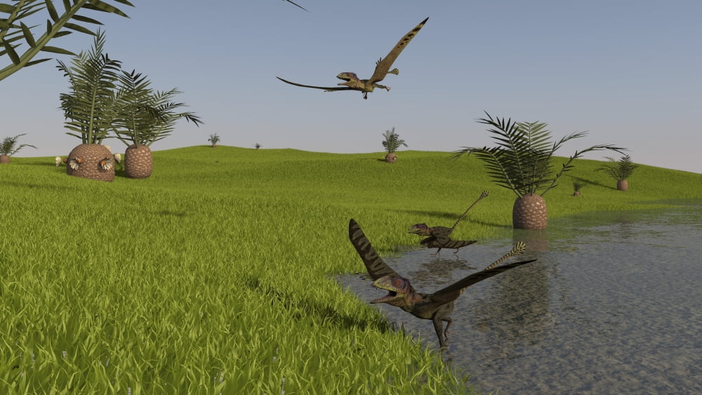 Peteinosaurus reptiles on the shore of a prehistoric environment Canvas Art - Kostyantyn IvanyshenStocktrek Images (38 x 22)