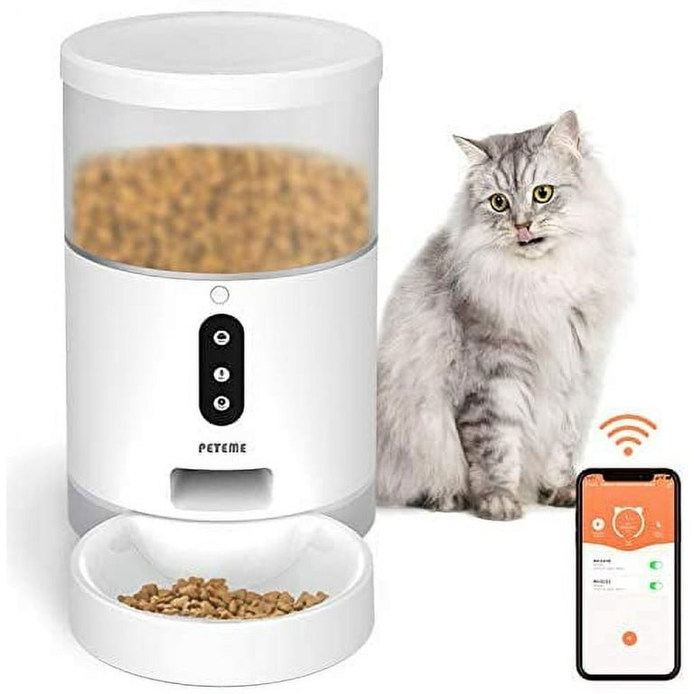 Auto cat cheap feeder