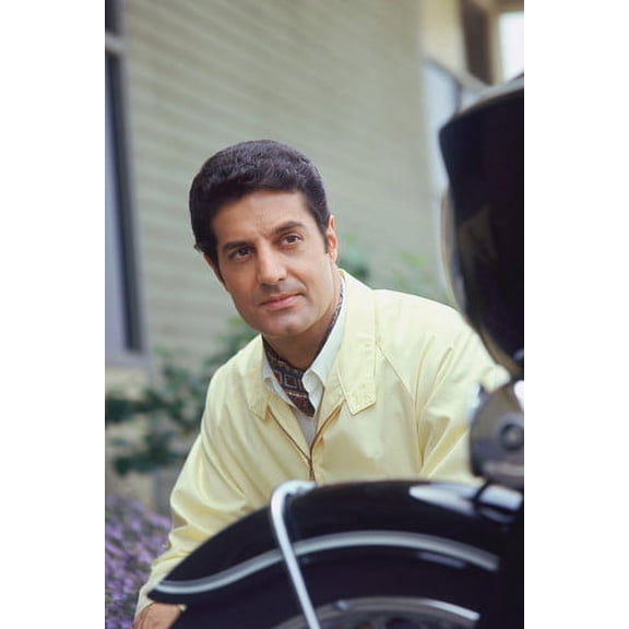 Peter Lupus Mission Impossible 24x36 Poster