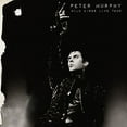 thumbnail image 1 of Peter Murphy - Wild Birds Live Tour - Vinyl, 1 of 1