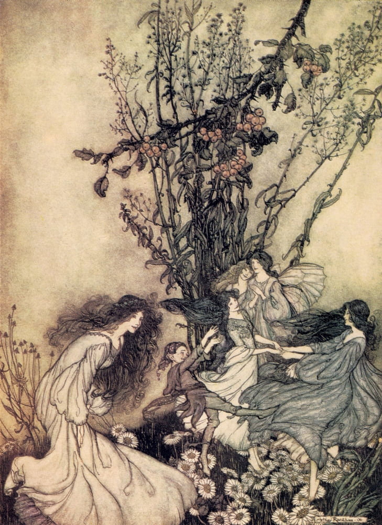 Peter Pan in Kensington Gardens 1912 Fairies are dancey Canvas Art - Arthur Rackham (18 x 24)