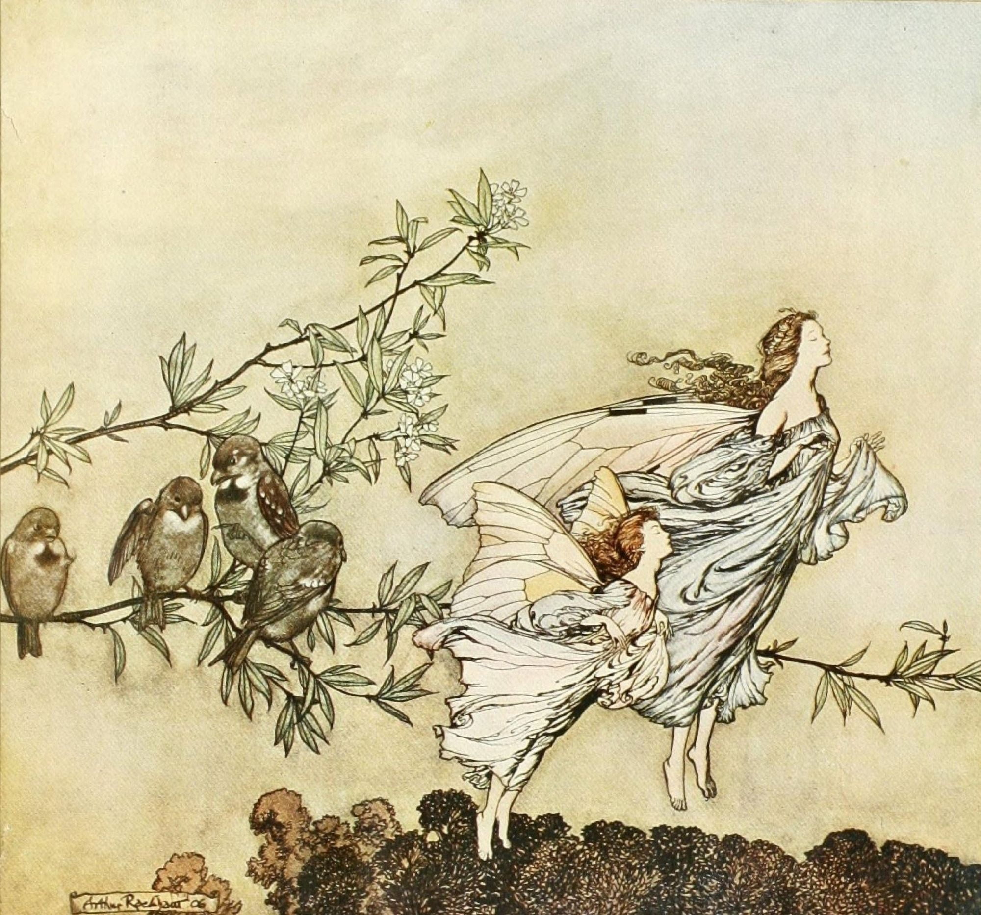 Peter Pan in Kensington Gardens 1912 The fairies have their tiffs with the birds Canvas Art - Arthur Rackham (24 x 36)