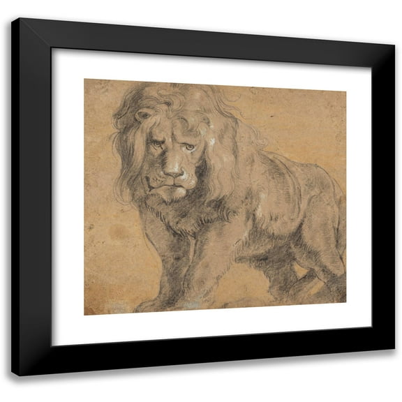 Peter Paul Rubens 13x12 Black Modern Framed Museum Art Print Titled - Lion (C. 1612-1613)