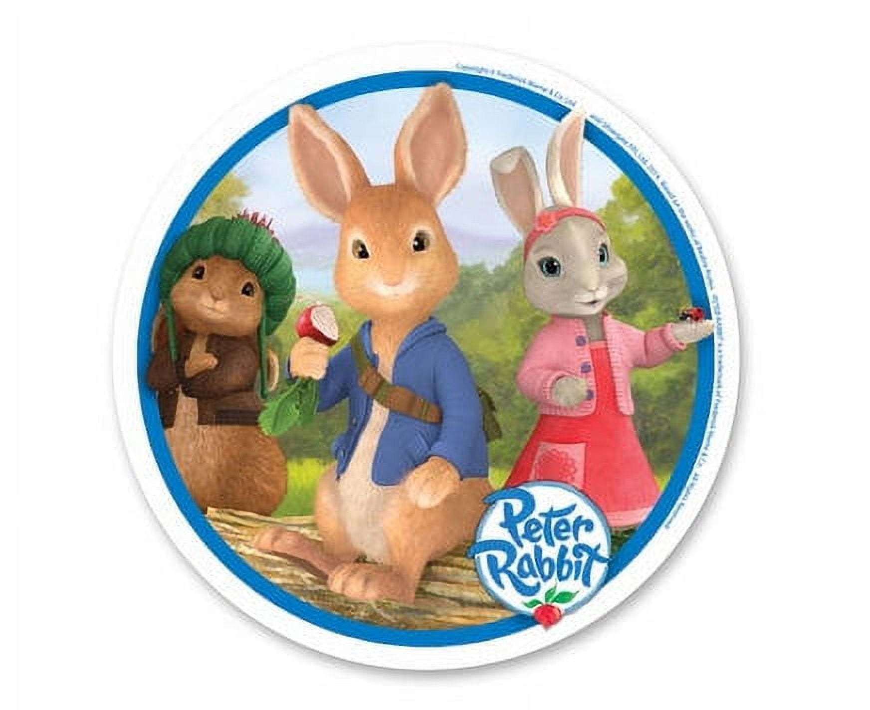 Peter Rabbit Edible Icing Image Cake Decoration Topper -1/4 Sheet ...