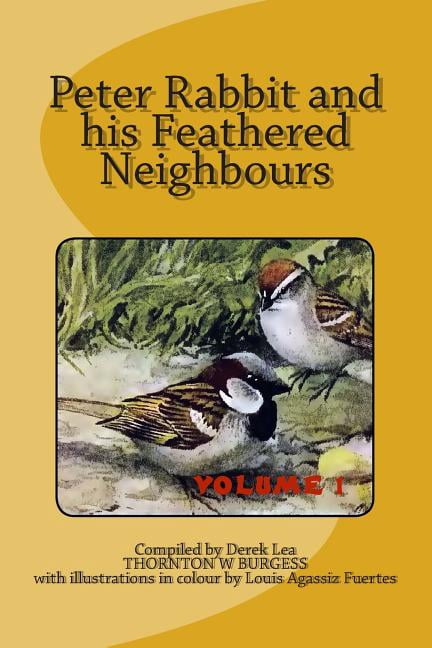 Feathered Rabbit Peter Rabbit and His Feathered Neighbours Vol 1 - Walmart.com